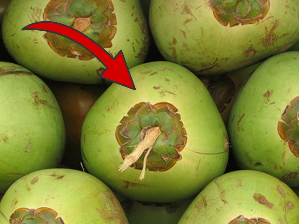 tender coconut with arrow to identify water-rich coconut