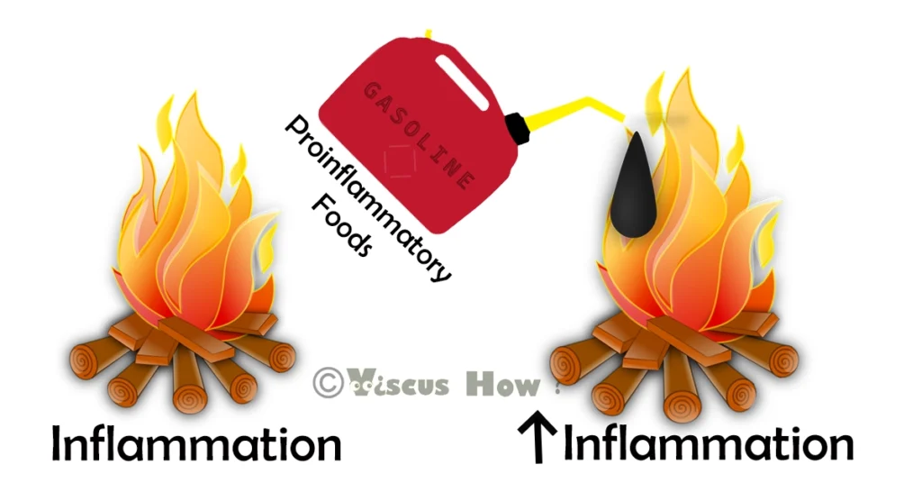 inflammation represented as fire and pro inflammatory foods represented as gasoline bottle